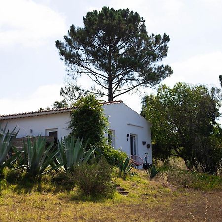 Monte Da Urze Aljezur - Agroturismo Dış mekan fotoğraf