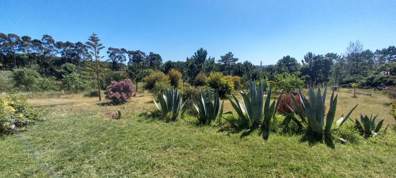 Monte Da Urze Aljezur - Agroturismo Dış mekan fotoğraf