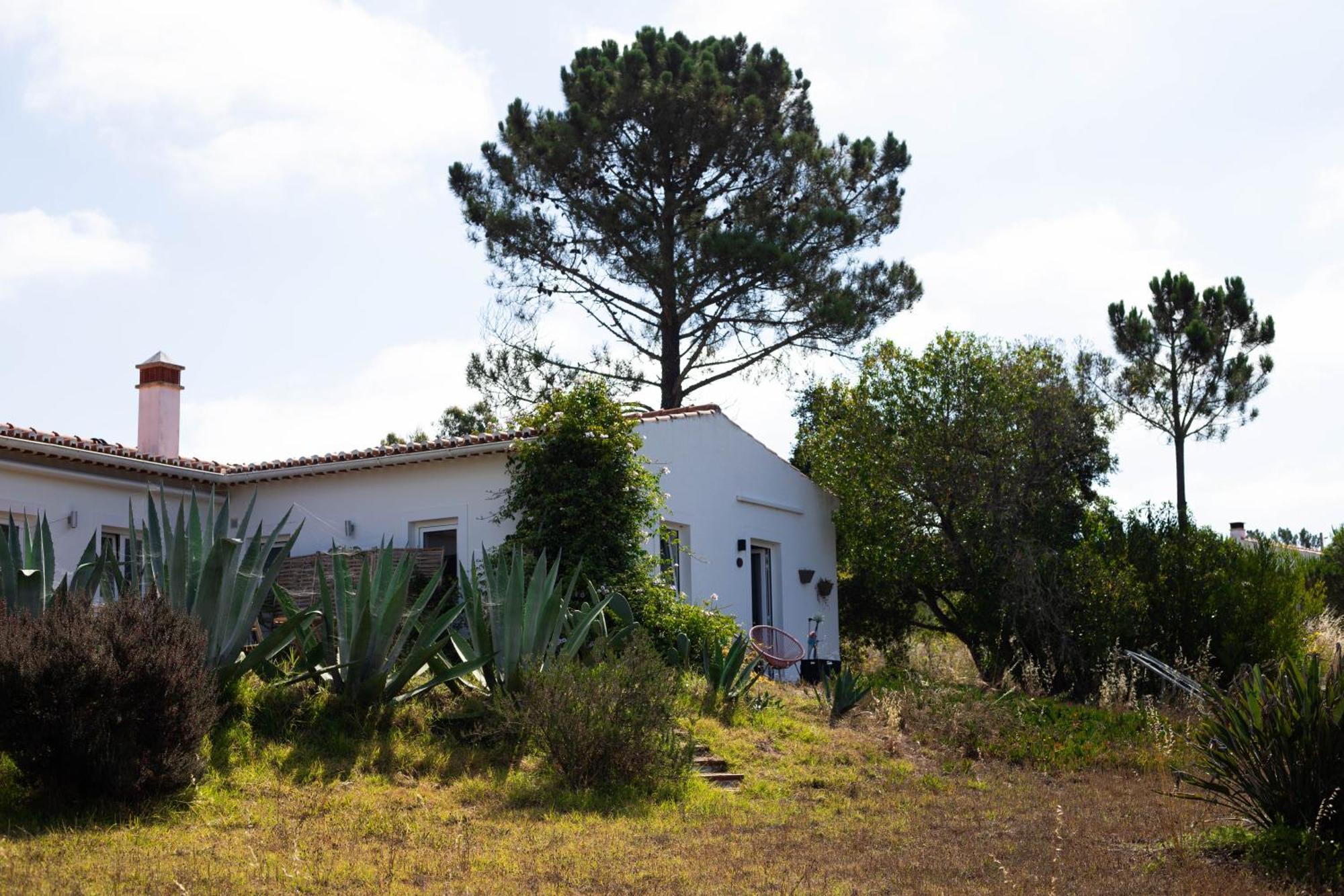 Monte Da Urze Aljezur - Agroturismo Dış mekan fotoğraf